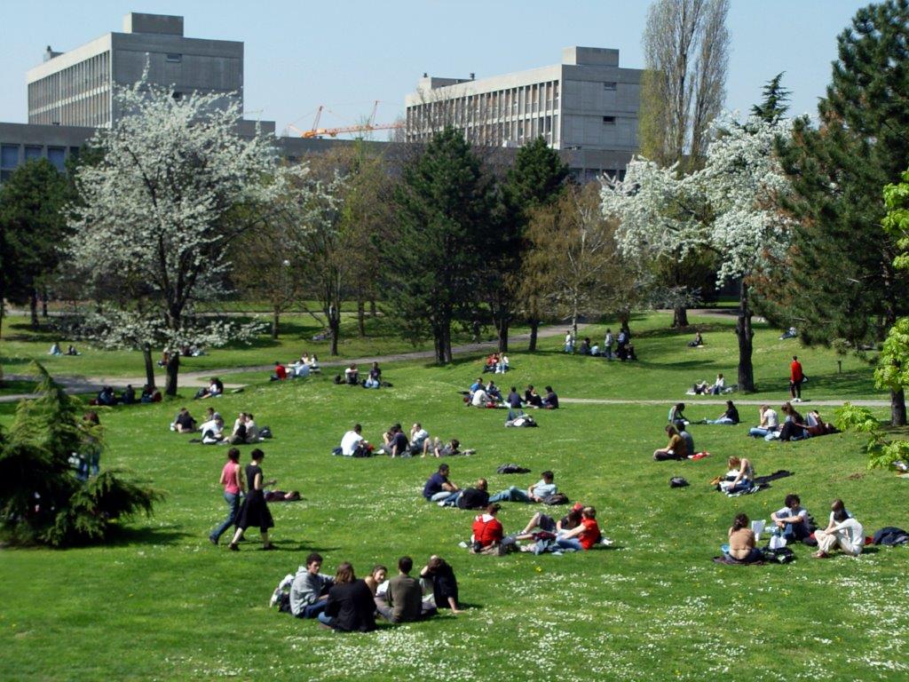 Environnement Polytech Lyon